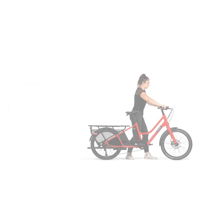 LONGTAIL DOUZE LT2 B