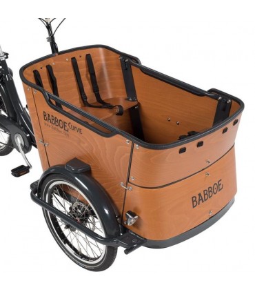 Protection bac Curve