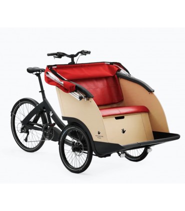 TRIOBIKE Taxi