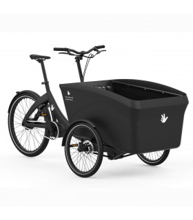TRIOBIKE boxter