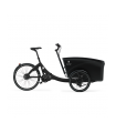 TRIOBIKE boxter