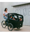TRIOBIKE boxter