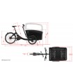 TRIOBIKE boxter