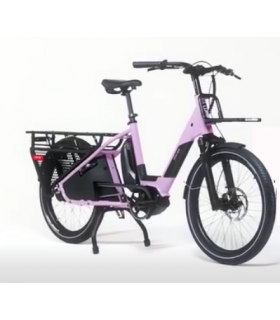 LONGTAIL DOUZE LT24
