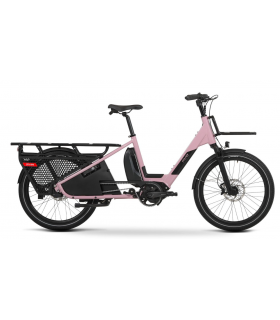 LONGTAIL DOUZE LT24