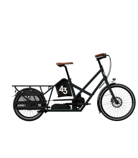LONG B43 BIKE FOR THREE