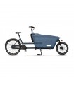 DOLLY BIKE