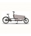 DOLLY BIKE