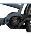 DOLLY BIKE